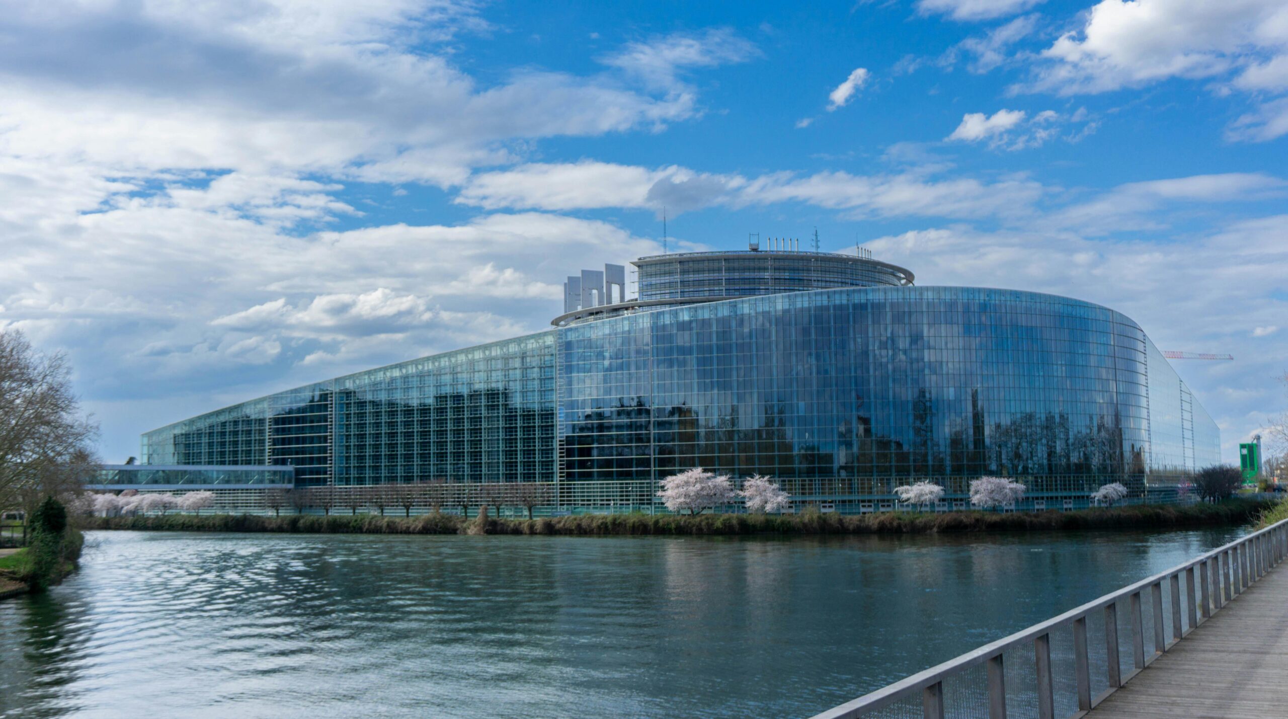 Image Session 2026 Strasbourg | MEP Alumni | Model European Parliament